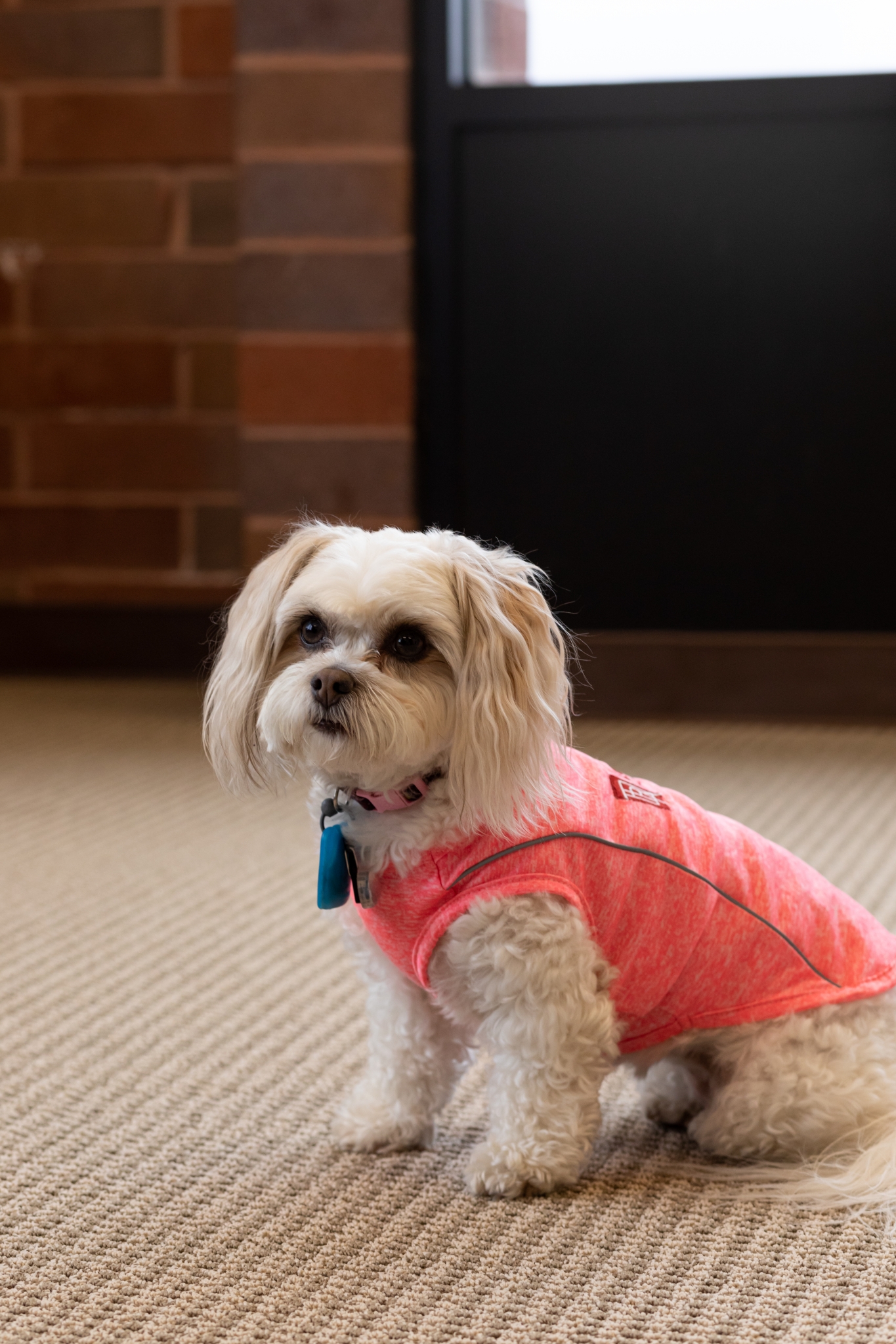 Our Team Terra Realty Advisors